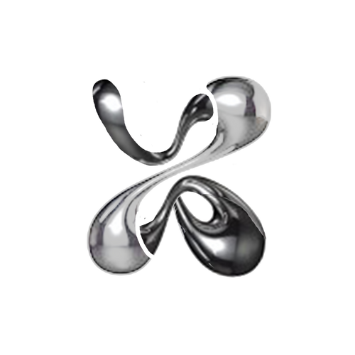 X LIMITED EDITION US